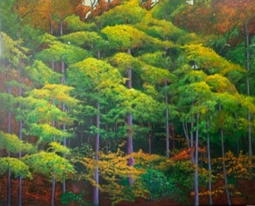 FOREST By Chris Morgan