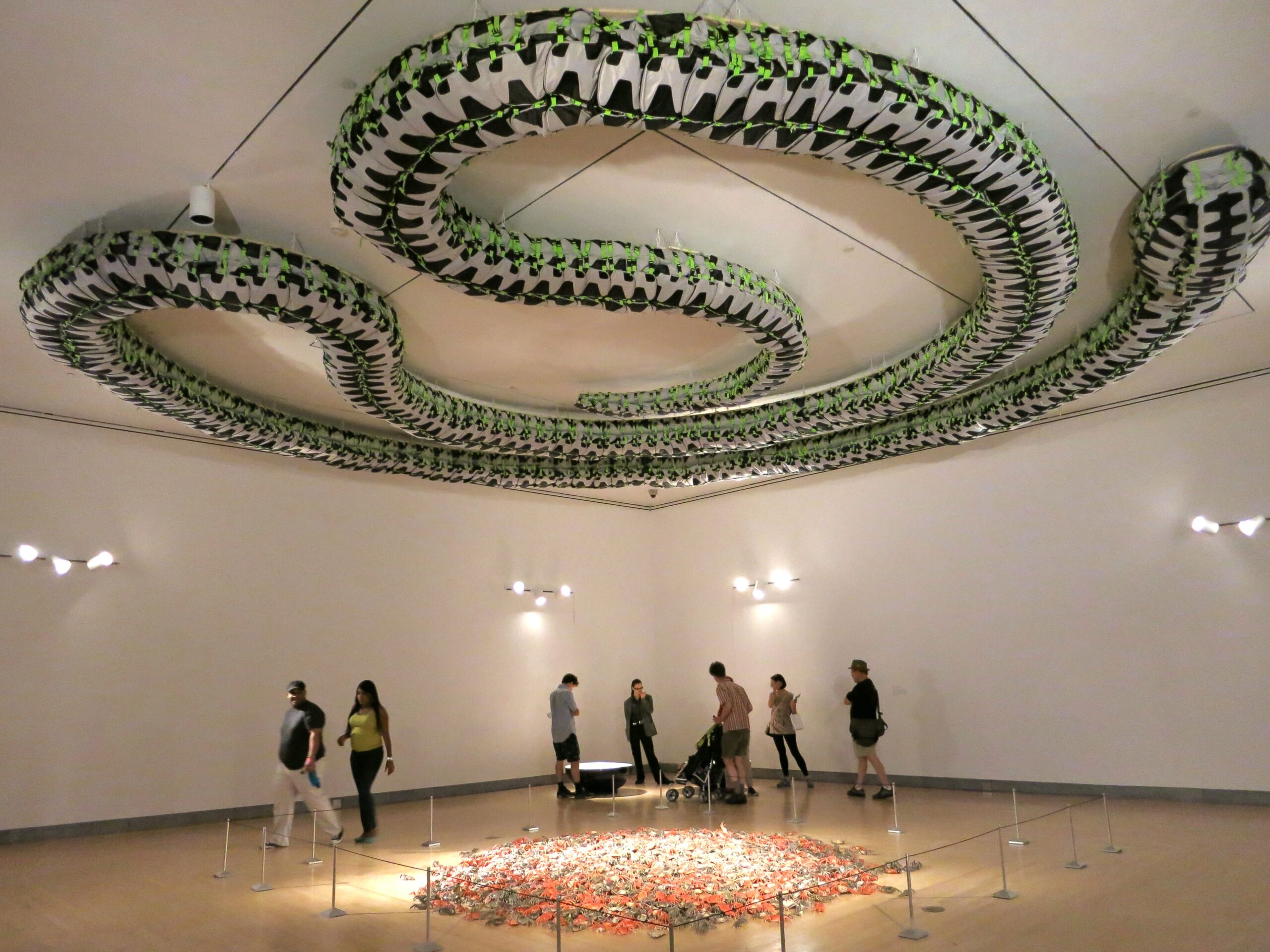 Snake Ceiling