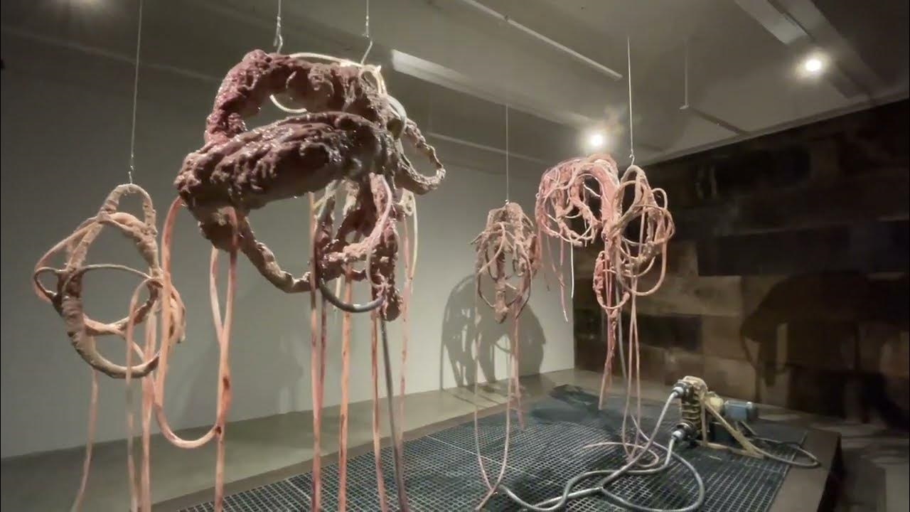 Carriers - Mira Lee