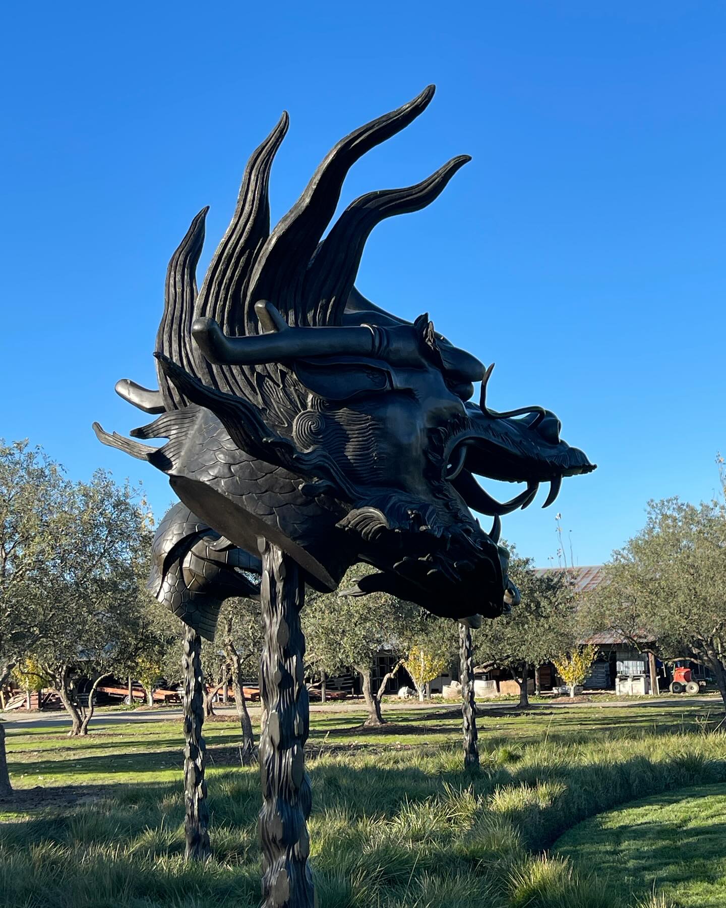 "Zodiac Heads"